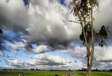 上海女排再淘宝:16岁左手主攻神似李盈莹!U18女排仍是夺冠热门.