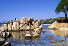 主场战北伦敦死敌热刺 炮兵能否找回射门靴是关键.：狗子28